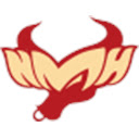 牛魔王数据助手