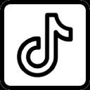 TikTok的黑暗主题