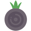 Proxy Client for Onion